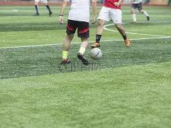 双色球猎手,解码,期预测揭秘,500万网彩票,500万网彩票APP,500万网彩票网页版,500万网彩票下载,500万网彩票官网