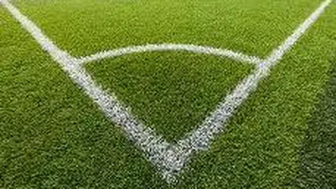 【双色球秘籍大放送】2026011期双色球，独家预测12红球+2蓝球，揭秘中奖密码，惊喜连连等你来！