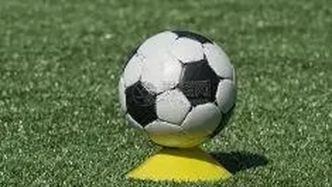 揭秘袁天罡双色球26015期精准凤尾二码攻略，实战追踪，中奖秘籍，仅供参考！